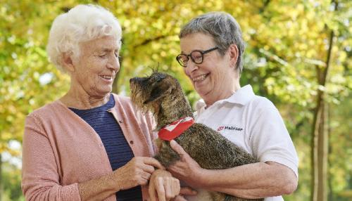 Gemeinsam Freude schenken: Die ehrenamtlichen Mensch-Hund-Teams der Malteser bringen durch ihre Besuche Nähe und Abwechslung in den Alltag. Foto: Ruprecht Stempell/ Malteser