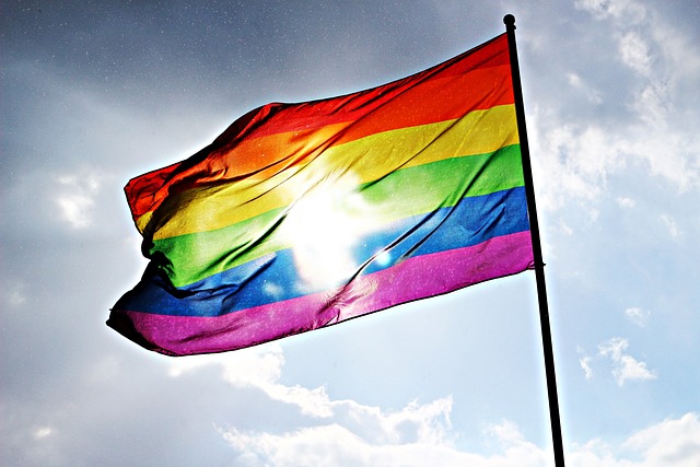 Zur CSD Demonstration wehen besonders viele Regenbogenfahnen. Sie sind Symbol der Vielfältigkeit und stehen als Zeichen für Freiheit aller sexueller Orientierungen. Foto: rihaij / Pixabay